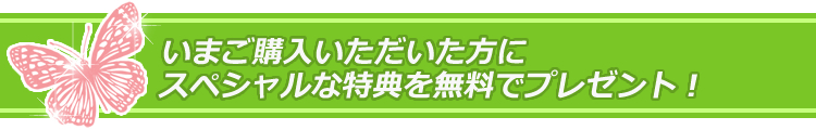 今、ご購入いただいた方にスペシャルな特典を無料でプレゼント!