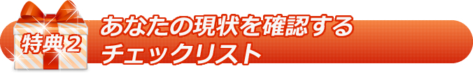 特典 その2 チェックリスト