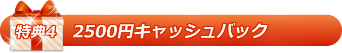 特典 その4 キャッシュバックキャンペーン中!